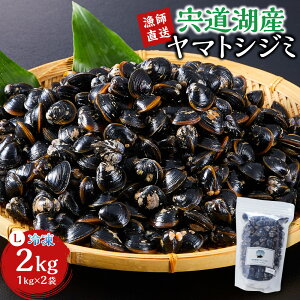 yӂ邳Ɣ[ŁztIΎY}gVW~ELTCYⓀ2kg |  Mp VN J Ij` Yi O