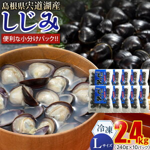 yӂ邳Ɣ[ŁzΎYⓀLTCYik10mm`12mmj240g×10 |  ΎY Ⓚ LTCY  􂢍 Mp t VN X`  O    