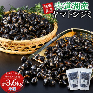 【ふるさと納税】漁師直送!宍道湖産ヤマトシジミ・食べ比べ3.6kg(Lサイズ2kg+Mサイズ1.6kg)