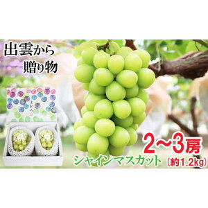 yӂ邳Ɣ[Łz[_ƒ]IVC}XJbg1.2kg[c_] | ǂ ʎ ̓̂ɔ VN o_ VC}XJbg c_