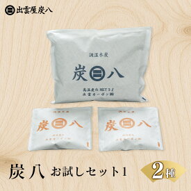【ふるさと納税】炭八お試しセット1(2種)