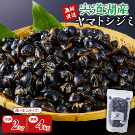 【ふるさと納税】【選べる内容量】漁師直送！宍道湖産ヤマトシジミ・Lサイズ冷凍 | 漁師直送！食べ応えのある宍道湖産ヤマトシジミをお届けします！