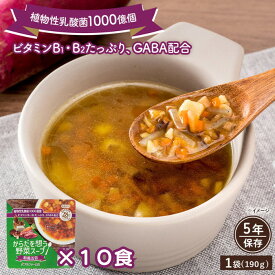 【ふるさと納税】【からだを想う野菜スープ】和風五目10食セット/レトルト/食物アレルギー対応/長期保存/防災食 | 野菜スープ 食物繊維 植物性乳酸菌 ビタミン GABA ギャバ 常温 ヴィーガン VEGAN ベジタリアン 健康 栄養 備蓄 非常食 そのまま食べられる すぐ食べれる