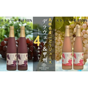 �y�ӂ邳�Ɣ[�Łz100%�Ԃǂ��W���[�X�f���E�F�A&�b�B�@4�{�Z�b�g(�e2�{)