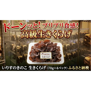 �y�ӂ邳�Ɣ[�Łz���肷�̂��̂� �������炰�i70g×4�p�b�N�j | ���������^�� ���t�� �I�ׂ�v���� �`�P�b�g �̌� �ό� IC�X�^�C�� �ӂ邳�Ɣ[�� �o�_�s