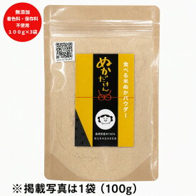 【ふるさと納税】食べる米ぬかパウダー　ぬかだけん100g 3袋セット | 食べる米ぬか パウダー 300g 加工品 健康食品 スーパーフード 至誠 ふるさと納税 出雲市