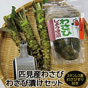 わさび 調味料の人気商品 通販 価格比較 価格 Com