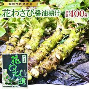 yӂ邳Ɣ[Łz Ԃ킳яݖЂ 50g×2×4Zbg v8 400g HHi Е  R R NxQ Y  wsgp ̍ ʃpbN HׂTCY ^pbN 