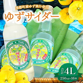 【ふるさと納税】 ゆずサイダー 250ml×16本 飲料類 炭酸飲料 ジュース サイダー ご当地サイダー 柚子果汁 果物 柚子 特産品 お取り寄せ