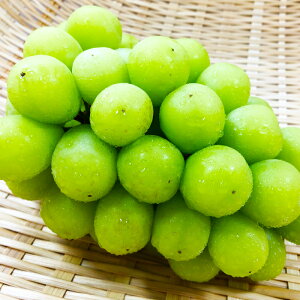 yӂ邳Ɣ[Łz VC}XJbg 2[ 炲ƐHׂ ʕ t[c Ԃǂ uhE }XJbg VN Â 嗱 傫 s\ Gߌ Ԍ Yi  O