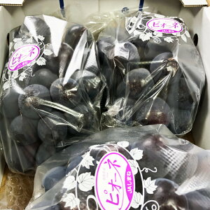 yӂ邳Ɣ[Łz sI[l Ȃ 2kg 3[`5[ ʕ t[c Ԃǂ uhE sI[l VN Â s\ Gߌ Ԍ ① Yi  O