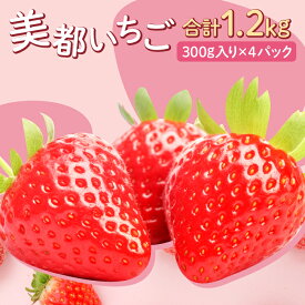 【ふるさと納税】 先行予約 美都いちご 300g×4パック 果物 フルーツ 苺 かおりの 紅ほっぺ 期間限定 季節限定 早期予約 冷蔵 特産品 お取り寄せ グルメ