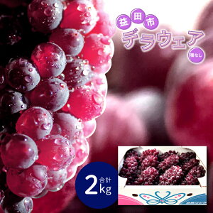 yӂ邳Ɣ[Łz fEFA Ȃ 2kg { ʕ t[c Ԃǂ uhE fEGA VN Â s\ Gߌ Ԍ ① Yi  O