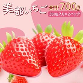 【ふるさと納税】 先行予約 美都いちご 350g×2パック 果物 フルーツ 苺 かおりの 紅ほっぺ 期間限定 季節限定 早期予約 冷蔵 特産品 お取り寄せ グルメ