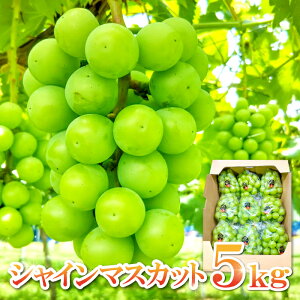 yӂ邳Ɣ[Łzqs\r VC}XJbg 6`12[ 5kg 炲ƐHׂ ʕ t[c Ԃǂ uhE }XJbg VN Â 嗱 傫 Gߌ Ԍ 8{`9{ 