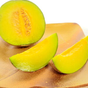 yӂ邳Ɣ[Łz qs\rAX 2  x14xȏ  ʕ t[c  ґ J  Mtg 蕨 yY 