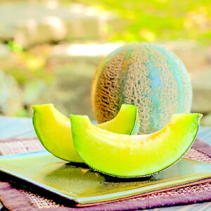 yӂ邳Ɣ[Łz qs\r AX 1 t[c  ʕ Gߌ Gi x14xȏ Mtg v[g