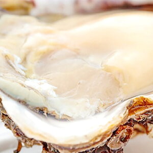 yӂ邳Ɣ[Łz s\ ₪ 5 y  ≲y L  {C C̃~N ① Ԍ Gߌ \ Yi  y Ăy