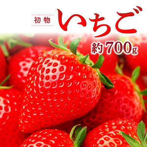yӂ邳Ɣ[Łz s\  350g×2pbN ʕ t[c  VN W[V[ Ԍ Gߌ \ 12 ① Yi  O