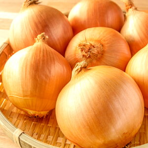 yӂ邳Ɣ[Łz s\ ݂ʔK 10kg 薁ʂ˂ ܂˂ ^}lM X[v no[O hbVO Ԍ Gߌ 7`8{ Yi 