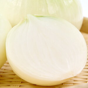 yӂ邳Ɣ[Łz s\ VʔK 10kg Vʂ˂ V܂˂ ʂ˂ ܂˂ ^}lM X[v no[O hbVO Ԍ Gߌ 5`615 Yi 