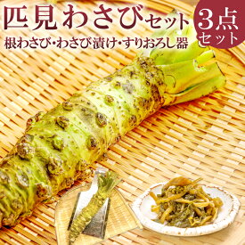 【ふるさと納税】 わさびセット 根わさび 2本 わさび漬け 1本 すりおろし器 1個 野菜 やさい 山葵 粘り 辛味 甘み 手作業 加工食品 ご飯のお供 酒のつまみ 日用品 ステンレス製 詰め合わせ 冷蔵 特産品 お取り寄せ グルメ