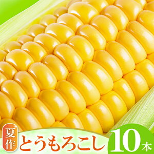 yӂ邳Ɣ[Łz s\ č ̂ Ƃ낱 10{ \ Ԍ Gߌ yY  Ė  gERV o[xL[ X[v ₳