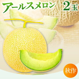 【ふるさと納税】 先行予約 アールスメロン 2玉 果物 フルーツ メロン 秋作 季節限定 期間限定 早期予約 10月〜11月発送 特産品 お取り寄せ グルメ