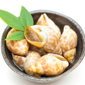 yӂ邳Ɣ[Łz VN ΂L 1kg  L L oCL {C ܂ ̍ ϕt o^[Ă   ٓ ^pN ᎉb ① Yi  O