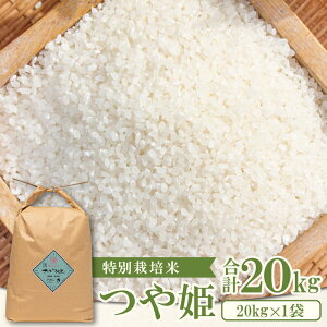 yӂ邳Ɣ[Łz yVāzs\ ʍ͔| q̂P  20kg 1  Yn P  ٓ ɂ H Yi uh  