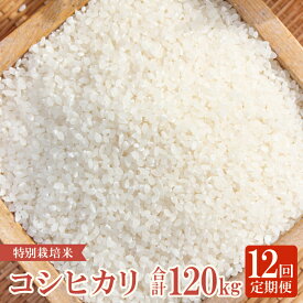 【ふるさと納税】 定期便 こしひかり 白米 10kg×12回 コース 令和5年産 2023年産 12ヵ月 1年 定期 毎月お届け 産地直送 横尾衛門 精米 ご飯 弁当 おにぎり 特産品 ブランド米 コシヒカリ こだわり お米 お取り寄せ 12回定期