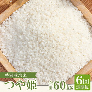 yӂ邳Ɣ[ŁzyցzyVāzʍ͔| q̂P  10kg×6 R[X 6 ͂  Yn P  ٓ ɂ H Yi uh  