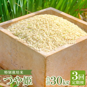 yӂ邳Ɣ[ŁzyցzyVāz ʍ͔| q̂P  10kg×3 R[X 3 ͂  Yn P  ٓ ɂ H Yi uh  