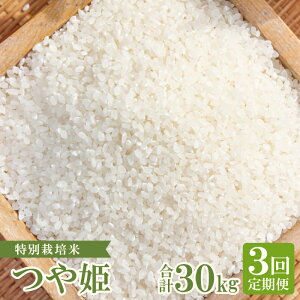 yӂ邳Ɣ[ŁzyցzyVāz ʍ͔| q̂P  10kg×3 R[X 3 ͂  Yn P  ٓ ɂ H Yi uh  