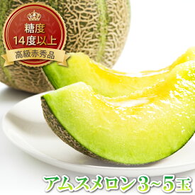 【ふるさと納税】 糖度14度以上 アムスメロン 高級 赤秀品 1ケース (3〜5玉) メロン 先行予約 早期予約 季節限定 期間限定 果物 フルーツ くだもの 贈答品 お土産 プレゼント 贈り物 ギフト 贈答
