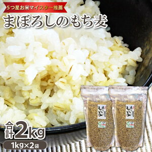 yӂ邳Ɣ[Łz5ă}CX^[E ܂ڂ낵̂ 1kg×2܁y ܂ڂ낵̂ X[p[H X[p[t[h ̔  H@  NH _CGbg  ͂ 