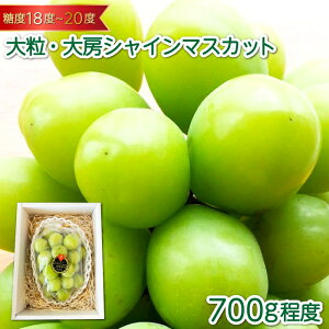 yӂ邳Ɣ[Łz VC}XJbg 1[ 700g 炲ƐHׂ ʕ t[c Ԃǂ uhE }XJbg VN Â 嗱 傫 s\ Gߌ Ԍ ~ Yi  O