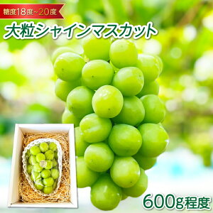 yӂ邳Ɣ[Łz 嗱 Ȃ VC}XJbg 1[ 600g s\ ʕ  t[c uhE Ԃǂ  }XJbg Ԍ Gߌ \