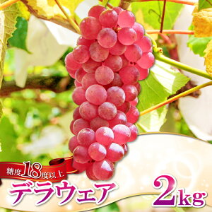 yӂ邳Ɣ[Łz fEGA 2kg s\ ʕ  t[c uhE Ԃǂ  Ԍ Gߌ \ x18xȏ Ȃ
