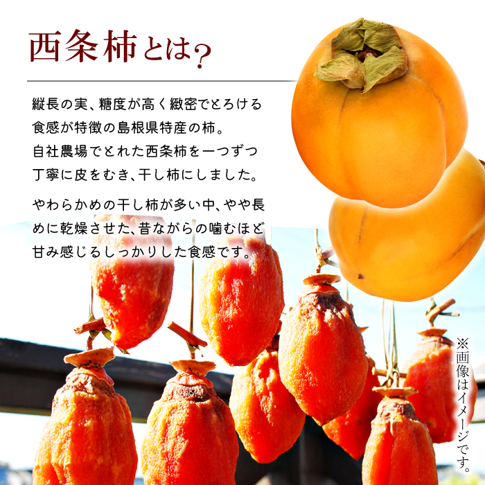 和歌山県たねなし柿G W 10kg