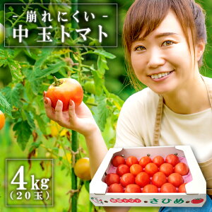 yӂ邳Ɣ[Łz ng}g 4kg 20  Yg}g Y[N  Ђ pX^ ύ uߕ 9`3 Yi  O
