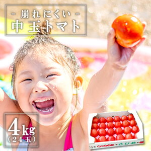 yӂ邳Ɣ[Łz ng}g 4kg 24  Yg}g Y[N  Ђ pX^ ύ uߕ 9`3 Yi  O