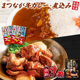 【ふるさと納税】 わしのまつなが牛煮込み まつなが牛カレー(2個) セット 牛煮込み まつなが牛 牛肉 煮込み カレー 中辛 ブランド黒毛牛 黒毛牛 詰め合わせ 夕飯 おかず おつまみ 昼食 レトルト インスタント 簡単調理 時短