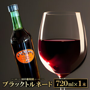 yӂ邳Ɣ[Łz h[kC ubNgl[h ԃC 720ml 9.1% 1{  C tbOVbvC h Â  ʕ Ԃǂ uhE  fBi[