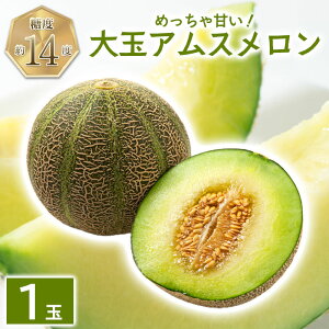 �ԗ�i�摜