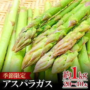 yӂ邳Ɣ[Łz Gߌ AXpKX AXp 1kg 20{`40{ Ԍ  AXp BBQ Ė o[xL[ 4`9{