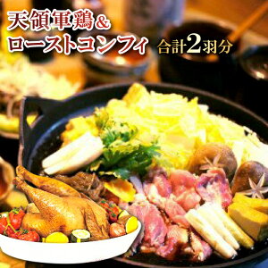 yӂ邳Ɣ[Łz V̌R{ [XgRtB Zbg e1H 1kg`1.2kg   { { nǂ Y Y cs Ԍ{  RtB Ⓚ ^