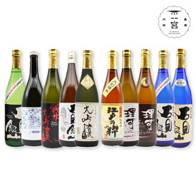 【ふるさと納税】 【5回定期便】 日本酒10種 各720ml 一宮酒造 石見銀山 特別純米 純米大吟醸 特別本醸造 大吟醸 純米吟醸 改良八反流 純米吟醸 佐香錦 発泡清酒 雪香 純米酒 江戸の粋 純米吟醸 理可 改良八反流 つや姫 国産 島根県産 大田市産 特産品 お取り寄せ