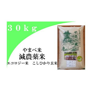 yӂ邳Ɣ[Łz ߘa7NY  _ Ђ100 30kg RVqJY csY  GRW[ ߘa7NxY 2025NY GRt@[}[F _ w엿 _CGbg N