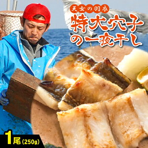 yӂ邳Ɣ[Łz Ȃ 銱 V̉H߃AiS Y q  1 250g 1 ቖn ቖ  V wsgp Fsgp Y VՂ 炵i Ă fĂ 